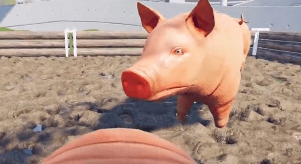小猪模拟器