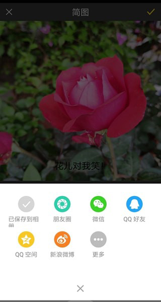 简图app手机最新版