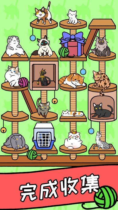猫咪公寓app